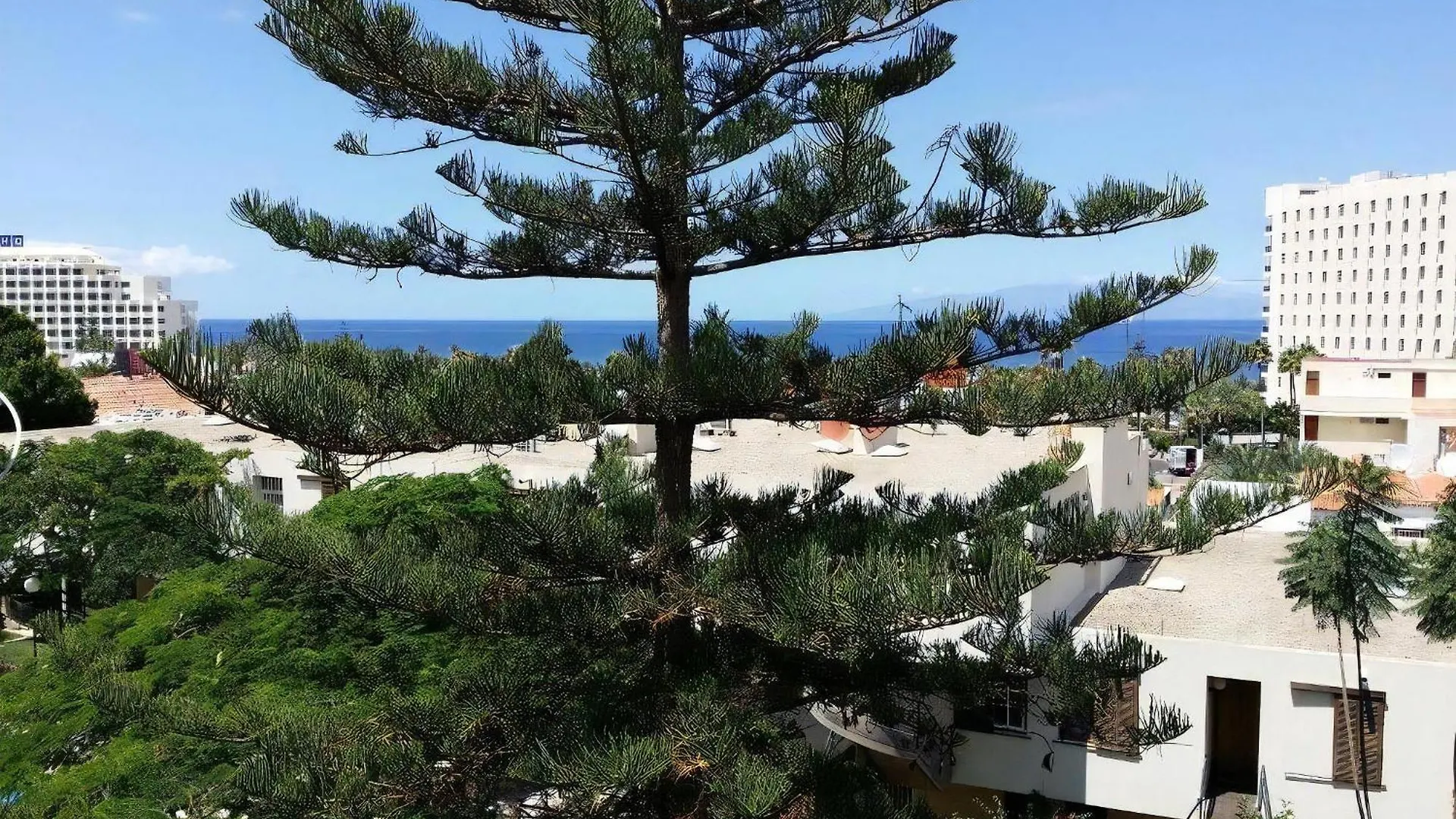 Apartment Jacaranda Mit Pool Playa de las Americas  0*, Playa de las Americas (Tenerife)